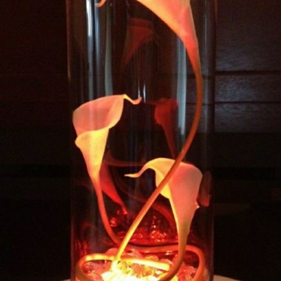 Meet your Posher, Catherine - Picture 1 of 1